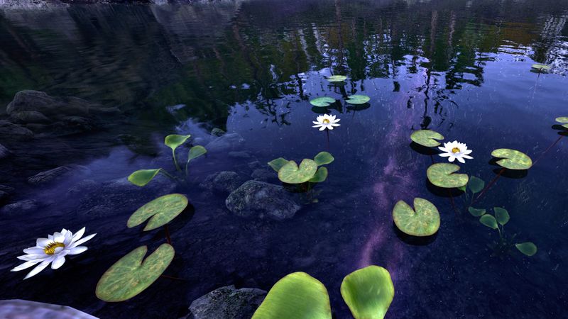 File:OBR-flora-Sacred Lotus.jpg