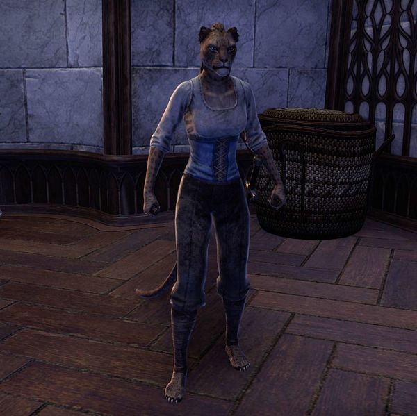 File:ON-npc-Dormsi.jpg