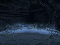 ON-place-The Moonless Walk 03.jpg