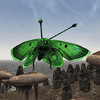 TR3-creature-Butterfly (green).jpg