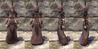 ON-item-armor-The Recollection Light Robe Female.jpg