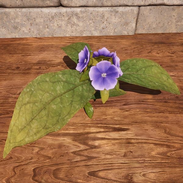 File:OBR-ingredient-Alkanet Flower.jpg