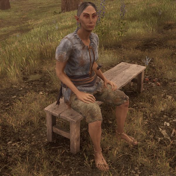 File:OBR-npc-Anedhel.jpeg