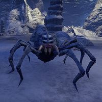 ON-creature-Frostbite Spider (Deepwood Vale).jpg