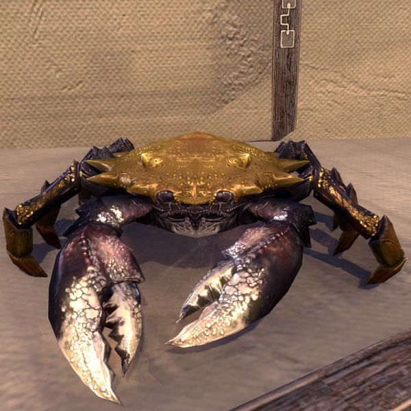 File:ON-pet-10-Year Anniversary Mudcrab.jpg
