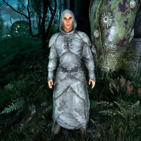 File:OBR-npc-Zealot Missionary High Elf Female.jpg