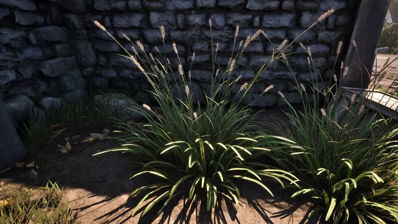 File:OBR-flora-Wheat Stalk.jpg
