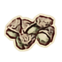 OBR-icon-ingredient-Ironwood Nut.png