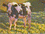 DF-icon-painting12.png