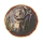OB-icon-misc-ElementOfPerception.png