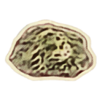 OBR-icon-ingredient-Digestive Slime.png