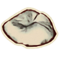 OBR-icon-ingredient-Troll Fat.png