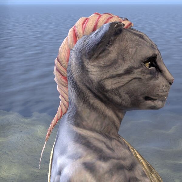 File:ON-hairstyle-High Hrothgar Braid (Khajiit) 02.jpg