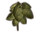 ON-icon-furnishing-Plant, Tall Mammoth Ear.png