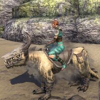 ON-mount-Skulltooth Coastal Durzog 02.jpg