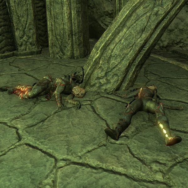 File:ON-npc-Voidprowler.jpg