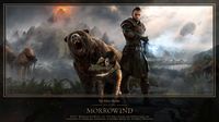 ON-wallpaper-ESO Morrowind Hero Art-1366x768.jpg