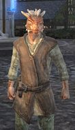 Male Argonian