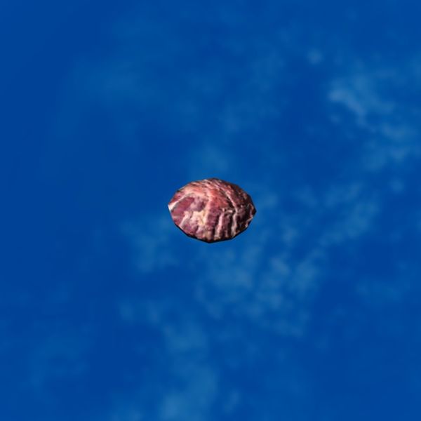 File:SRMOD-LOTD-tide-scallop shell-wavy purple.jpg