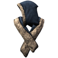 BS5C-icon-clothing-ColovianFurHood1.png