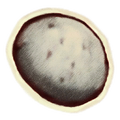 Thumbnail for version as of 18:14, 29 May 2025