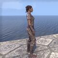 Thumbnail for version as of 19:28, 23 June 2025