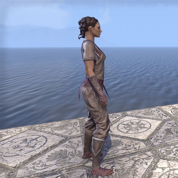 File:ON-costume-Sea Drake Garb (side).jpg