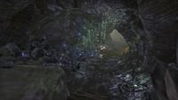 ON-interior-Deetra Grotto 02.jpg