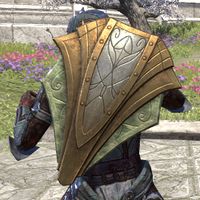 ON-item-armor-Ancient Elf Shield Hickory.jpg