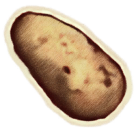 OBR-icon-ingredient-Potato.png