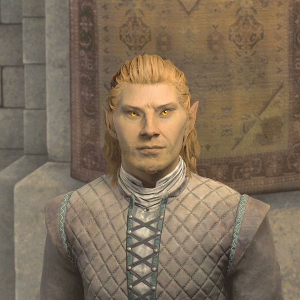 File:OBR-npc-Thoronir.jpg