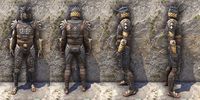 ON-item-armor-Dead-Water Heavy Male.jpg