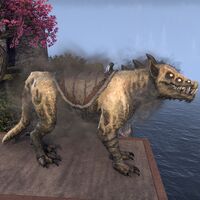 ON-mount-Skulltooth Coastal Durzog.jpg