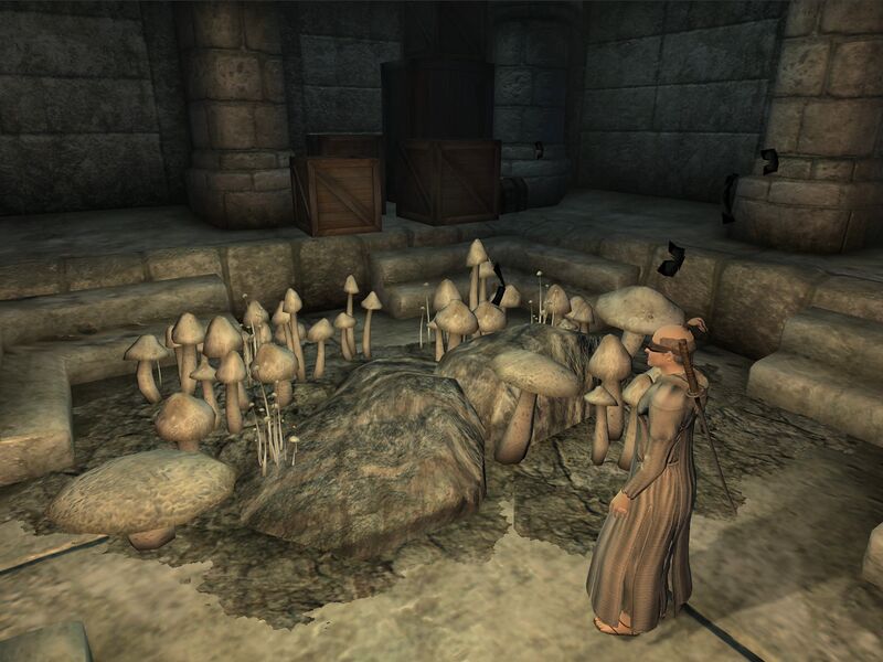 File:OB-interior-Temple of the Ancestor Moths 03.jpg