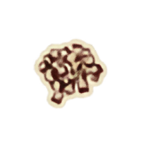 OBR-icon-ingredient-Seeds.png