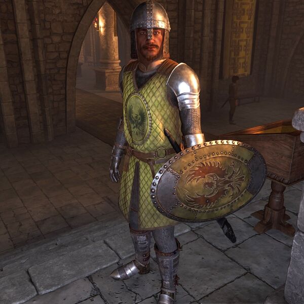 File:OBR-npc-Bruma Bodyguard.jpg