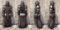ON-item-armor-Exile's Revenge Light Robe Male.jpg