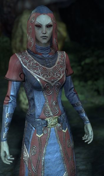 File:ON-npc-Master Thilse.jpg