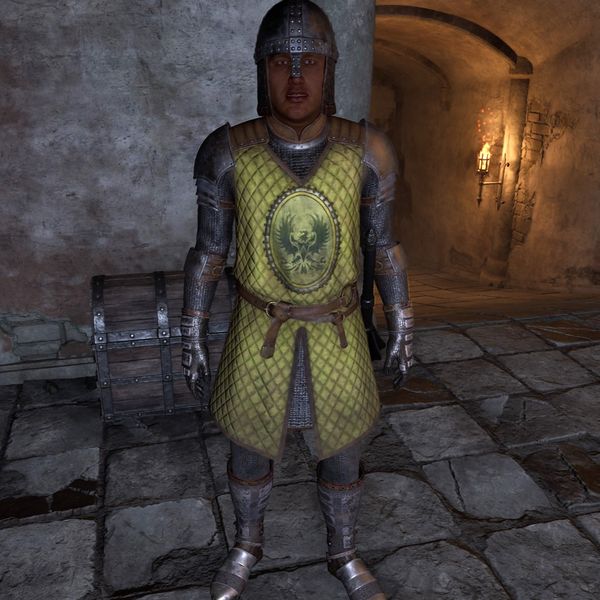 File:OBR-npc-Bruma Jailor.jpg