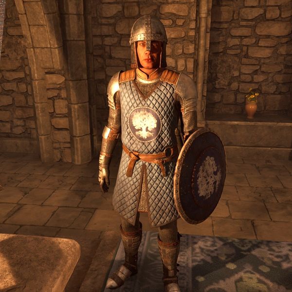 File:OBR-npc-Chorrol Bodyguard.jpg