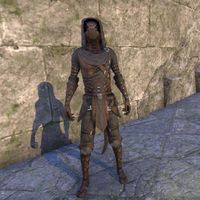 Thieves Guild Leathers (male)