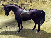 OB-creature-Black Horse.jpg