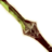 OBR-icon-weapon-Glass Shortsword.png