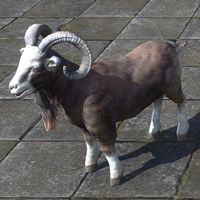 ON-furnishing-Dragontail Goat.jpg