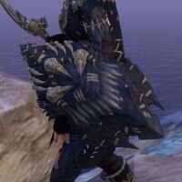 ON-item-armor-Crowborne Hunter Shield.JPG