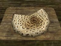 TD3-ing-Dryad's Saddle Polypore Cap.jpg