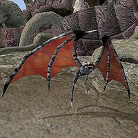 TR3-creature-Daedric Batfiend.jpg