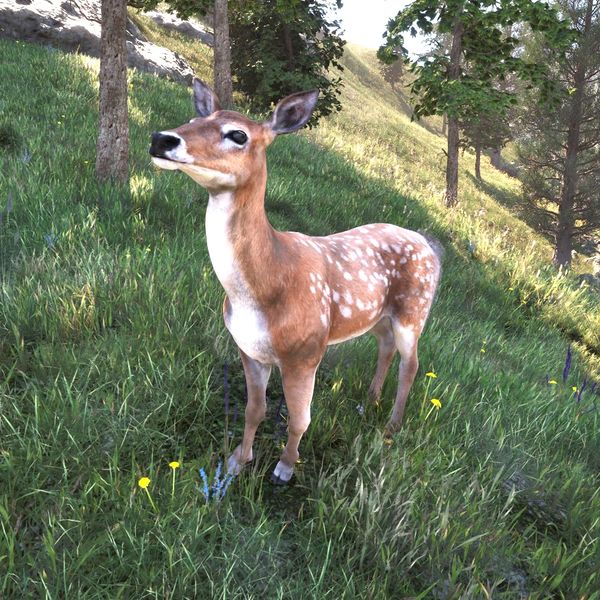File:OBR-creature-Deer.jpg