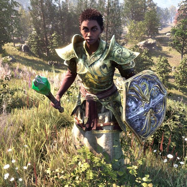 File:OBR-npc-BanditRF.jpg