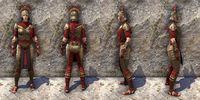 ON-item-armor-Dragonguard Light Jerkin Female.jpg